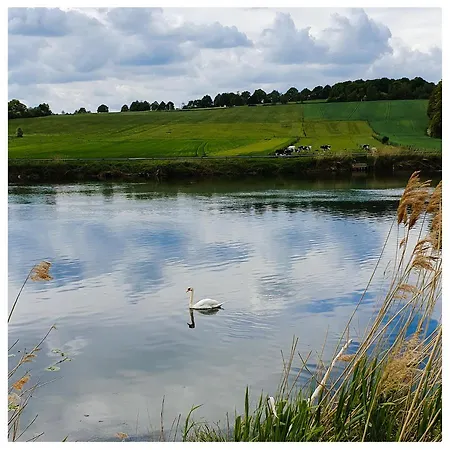 Domaine De L'aviette